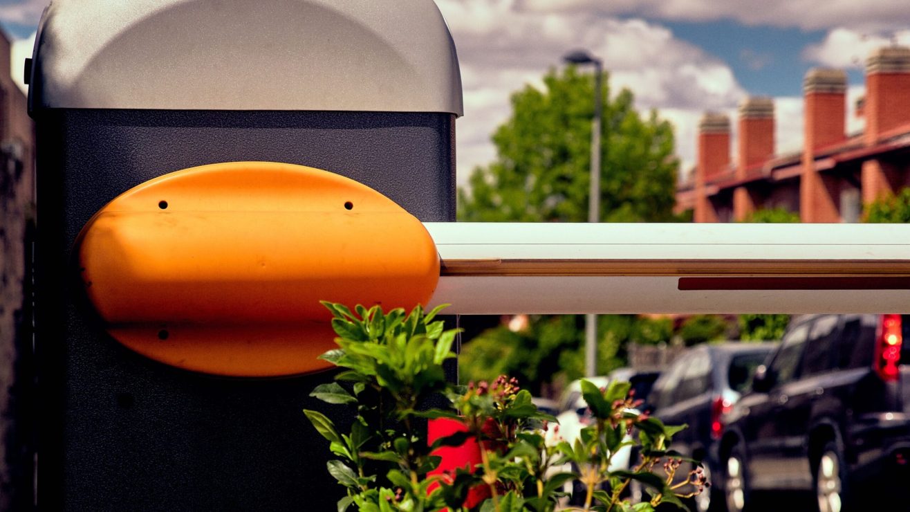 Shutterstock_2302552487