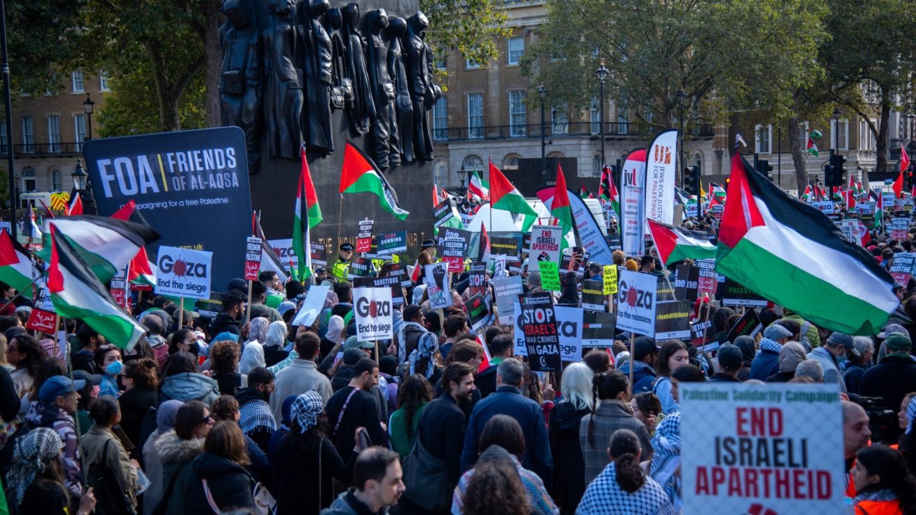 shutterstock_2375007789